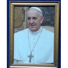  Pope Francis in frame